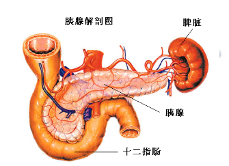 陕西省康复医院外科开展液囊空肠导管留置技术